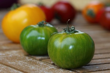 Tomates vertes
