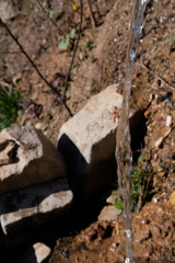 Pure water from the underground - stream 