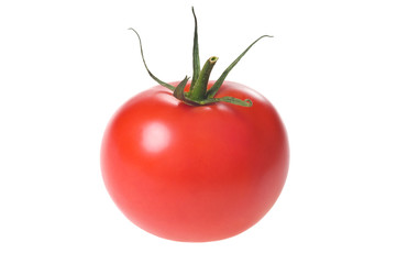 Fresh ripe red tomato with green stem isolated on white background. Studio shot