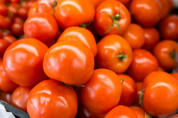 A bunch of fresh red tomatoes at the grocery store
