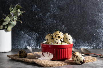 Artistic vintage style composition with quail eggs on dark rustic background. Farmer’s market organic products. Healthy food concept, copy space for your text.