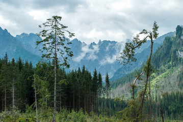 Mountain views in Slovakia in summer