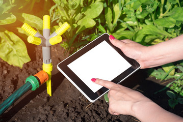 Woman is holding in hand a blank screen tablet computer on a garden sprinkler background.