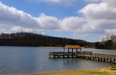 wooden dock over lake