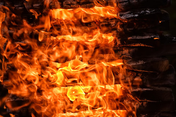 torture woodpile with firewood