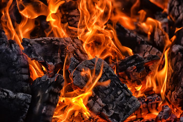 bonfire and flames, embers