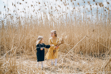 two little blonde sisters on a background of a golden field. daughter's day