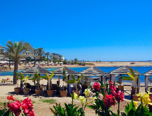 Naklejka premium Mediterranean resort. Gazebos, flowers, palm trees, umbrellas on the background of a sandy beach and blue sea. Paphos, Cyprus.