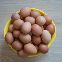 chicken eggs