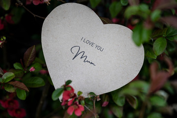 I love You Mum written on a paper card in a flowering bush