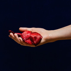 hand with red petals on dark blue background colourful