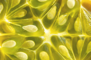 Exotic vegetable cucumis metuliferus, African cucumber closeup, soft focus. Vegetarian food. Texture.