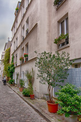Charming flower quarter with apartment building in Paris, Rue des Thermopyles, 14 arrondisement. France.