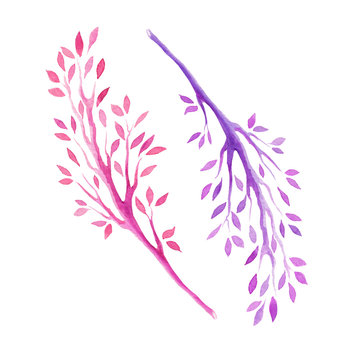 Watercolor Pink Branches Isolated On White Background. Spring Decore.