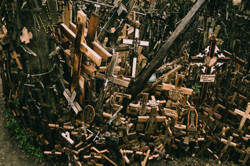 Bunch of wooden crosses on the famous Hill of Crosses in Lithuania, a popular pilgrimage site