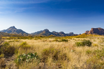 Obraz premium Chisos mountains and desert scenery of Big Bend National Park in West Texas, USA
