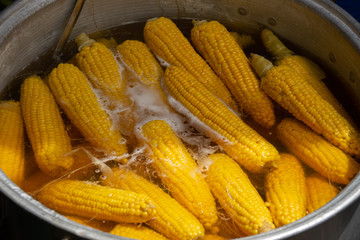 Fresh corn is cooked in a metal pan. Close-up