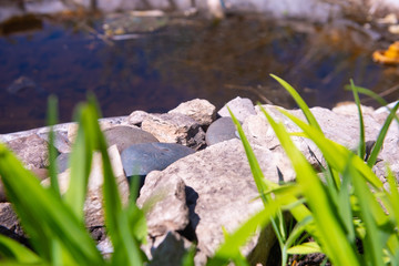 rocks near the lake