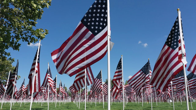 Flying low as American Flags blow in the wind as they cover a park during memorial display.