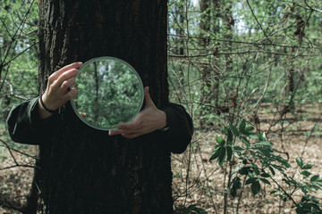 Hands from behind a tree hold a round mirror in which the forest is reflected.
