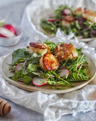 Microgreen Sea Scallops Radish Salad