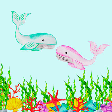 blue and pink whale, girl and boy, a couple live in the seas and oceans, big fish