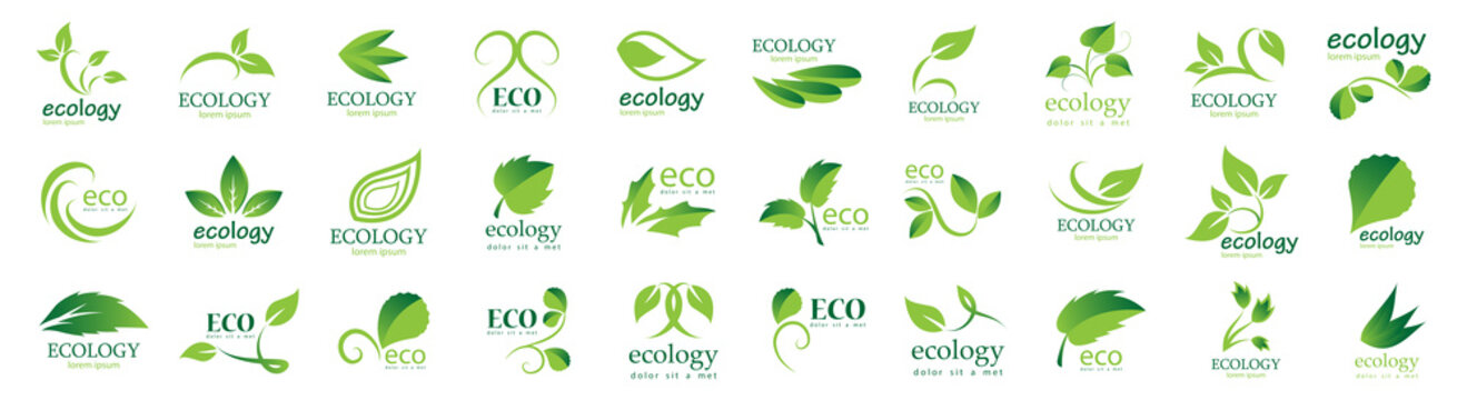 Collection Of Eco And Organic Logo Set - Isolated On White Background - Vector. Eco And Organic Logo Useful For Leaf Icon, Ecology Logo, Eco Symbol And Template Design. Ecology Tree Icons