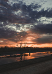 Sunrise on the horizon with the glow reflected in the creek, in Epecuen, near Carhue, Buenos Aires Province, Argentina.