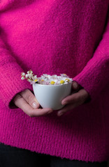 Obraz na płótnie Canvas Close up beautiful spring hands hold white cup flowers woman knitted purple sweater