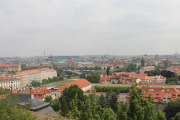 Fototapeta na wymiar view from the top of the mountain to the town with red-tiled roofs of Prague Czech Republic Europe