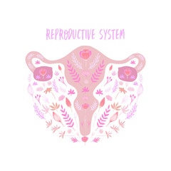Female reproductive system flat vector banner template with many decorative elements. Scandinavian style