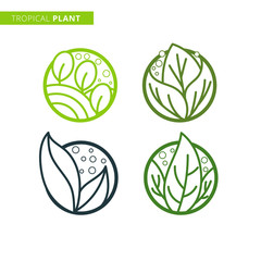 Set of tropical plant logo template