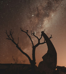 Night photography of the ruins of epecuen, the stars light up the sky near the carhue town,...