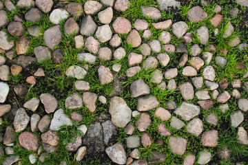 Małe kamienie leżące pośród trawy - obrazy, fototapety, plakaty