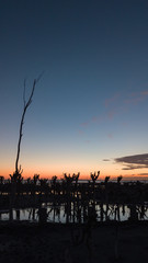 Naklejka premium Sunset on the epecuen lake, the orange sky