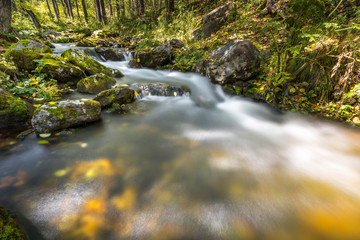 stream, waterfall from the forest