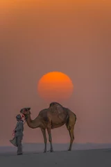 Tuinposter camel in the desert on sun set abu dhabi united arab emirates © malangusha