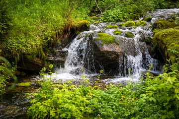 stream, waterfall from the forest