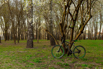 Fototapeta na wymiar Khmelnitskyi Ukraine 04.20.2020 cycle park outdoor spring blossom season time loneliness concept photography sport walking