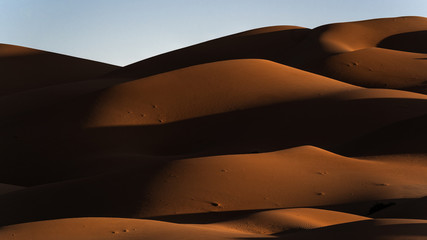 Fototapeta na wymiar sand dunes in the Liwa desert ,abu dhabi , united arab emirates