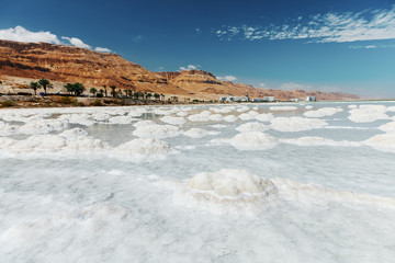 Dead sea salty shore. Wild nature. Tropical landscape. Summertime.