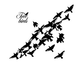 A flock of flying silhouette birds. Vector illustration