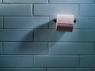 Roll of toilet paper on holder mounted on brick wall