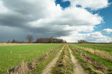 A dirt road through green fields and clouds on the sky