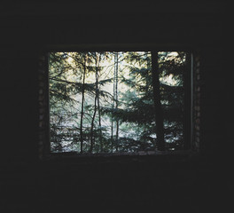 A window with a green fresh forest view and tree silhouette of tree. A hole in a black wall of ruined abandoned house. Post-apocalypse mood