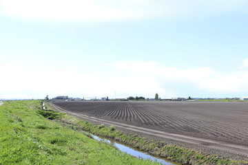 Fototapeta na wymiar White hot day over the plowed farmland not to far from the big city
