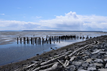 What is this?  A dream.  Probably.