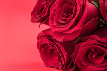 Obraz na płótnie Canvas Fondo de pantalla con rosas de color rojo