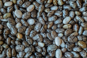 Chia seeds macro texture close-up view