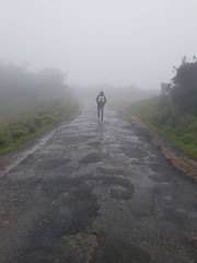 Obraz premium walking on the road